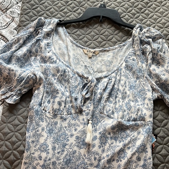 Large Blush dress NWT - Picture 4 of 4